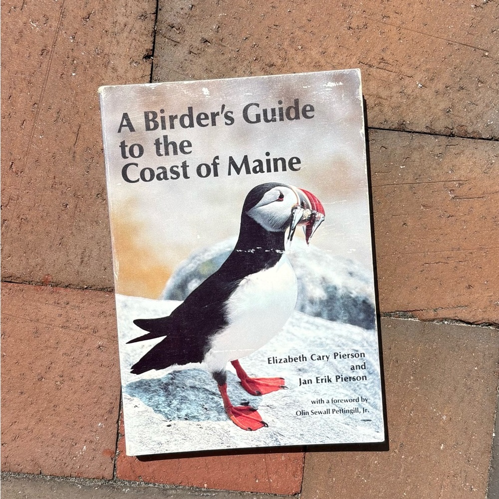 1981 A Birder's Guide to the Coast of Maine Puffin Animals Portland Coast Egret